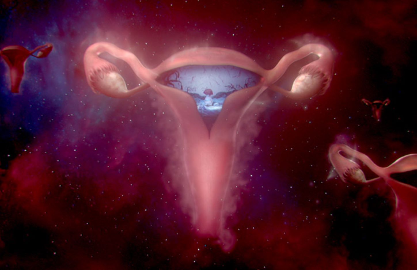 bodyform