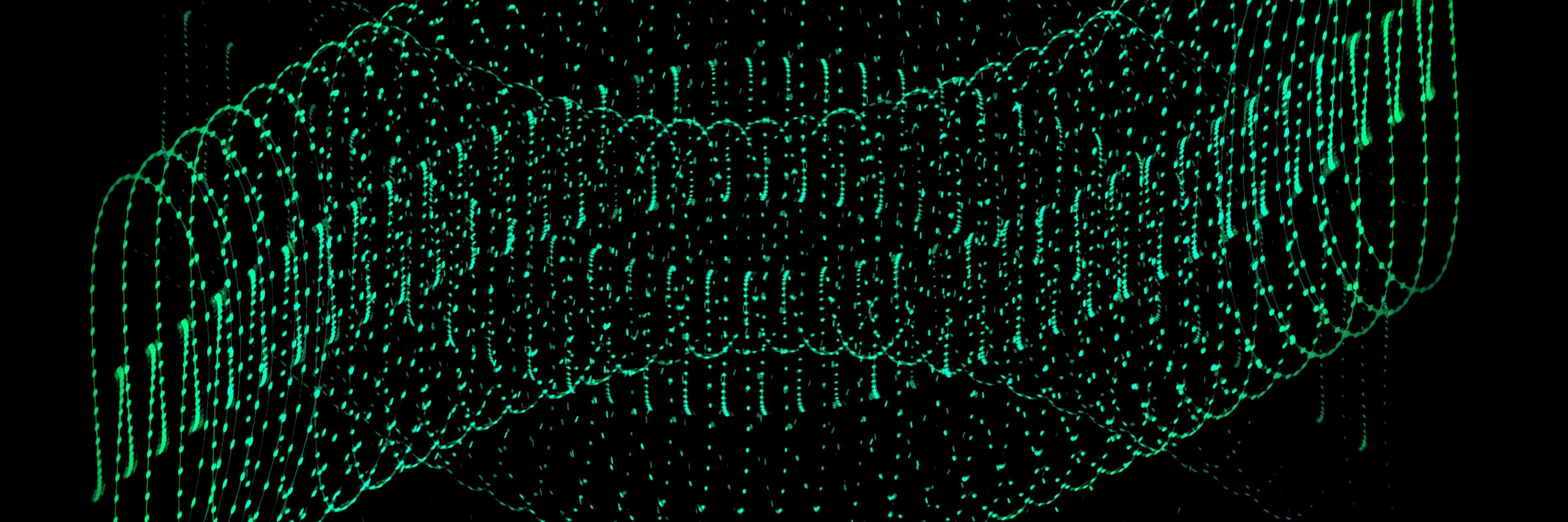 matrix