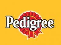 Pedigree, Marketing Communications