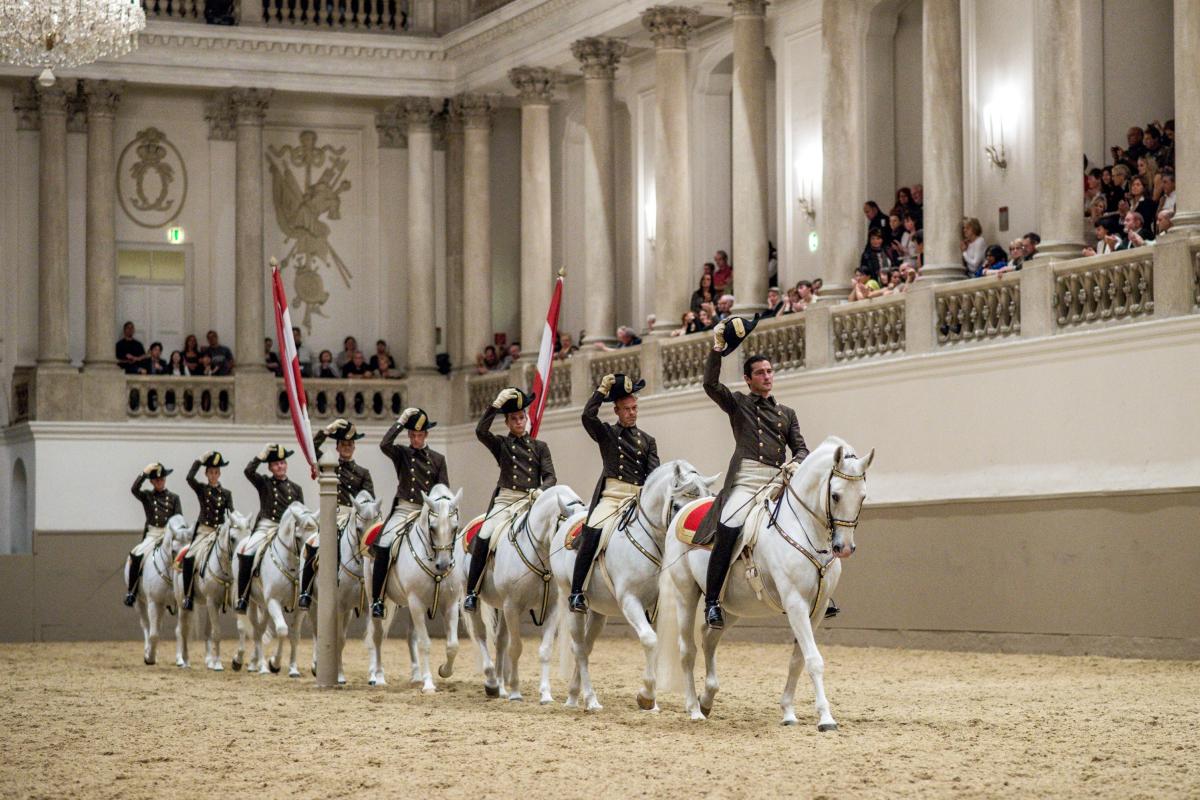 horses