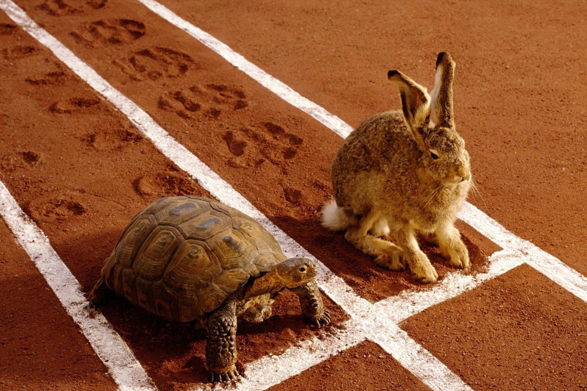 go slow.
