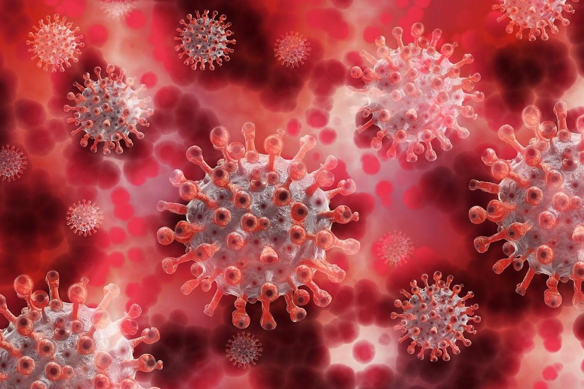 virus.