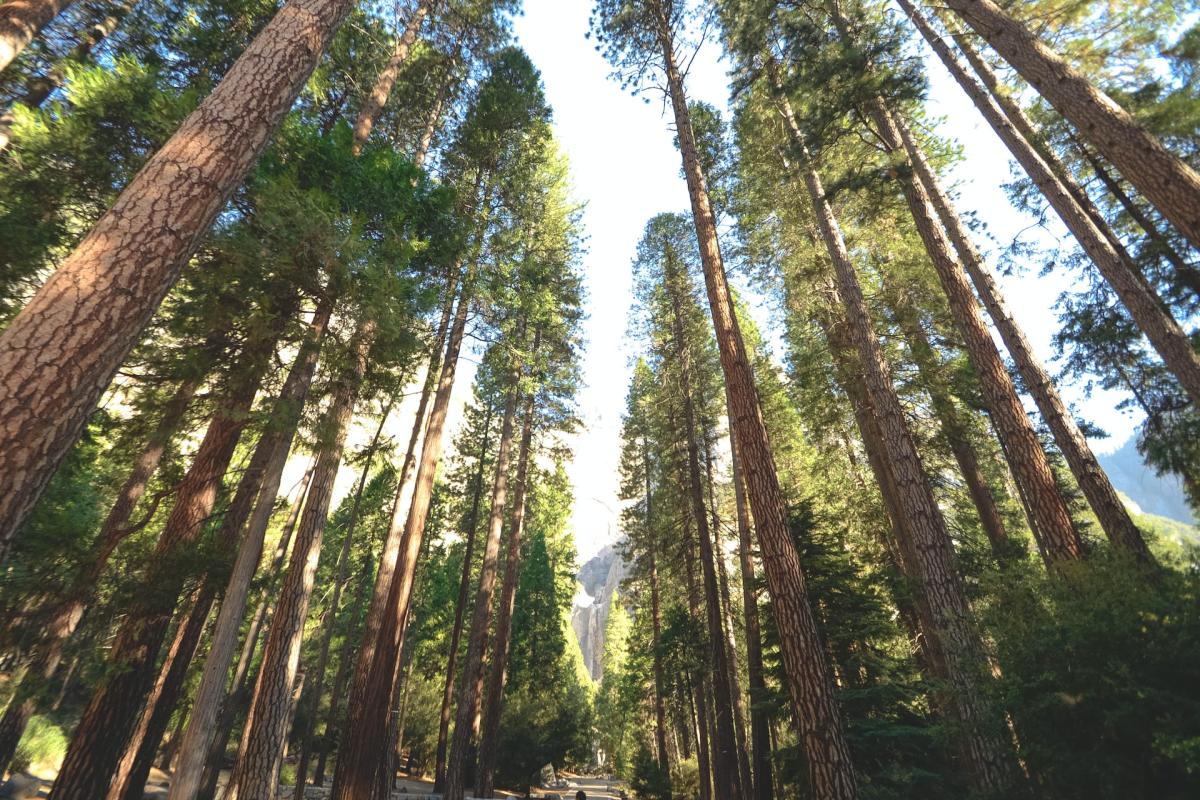 Source: Unsplash, Credit: Chelsea Bock