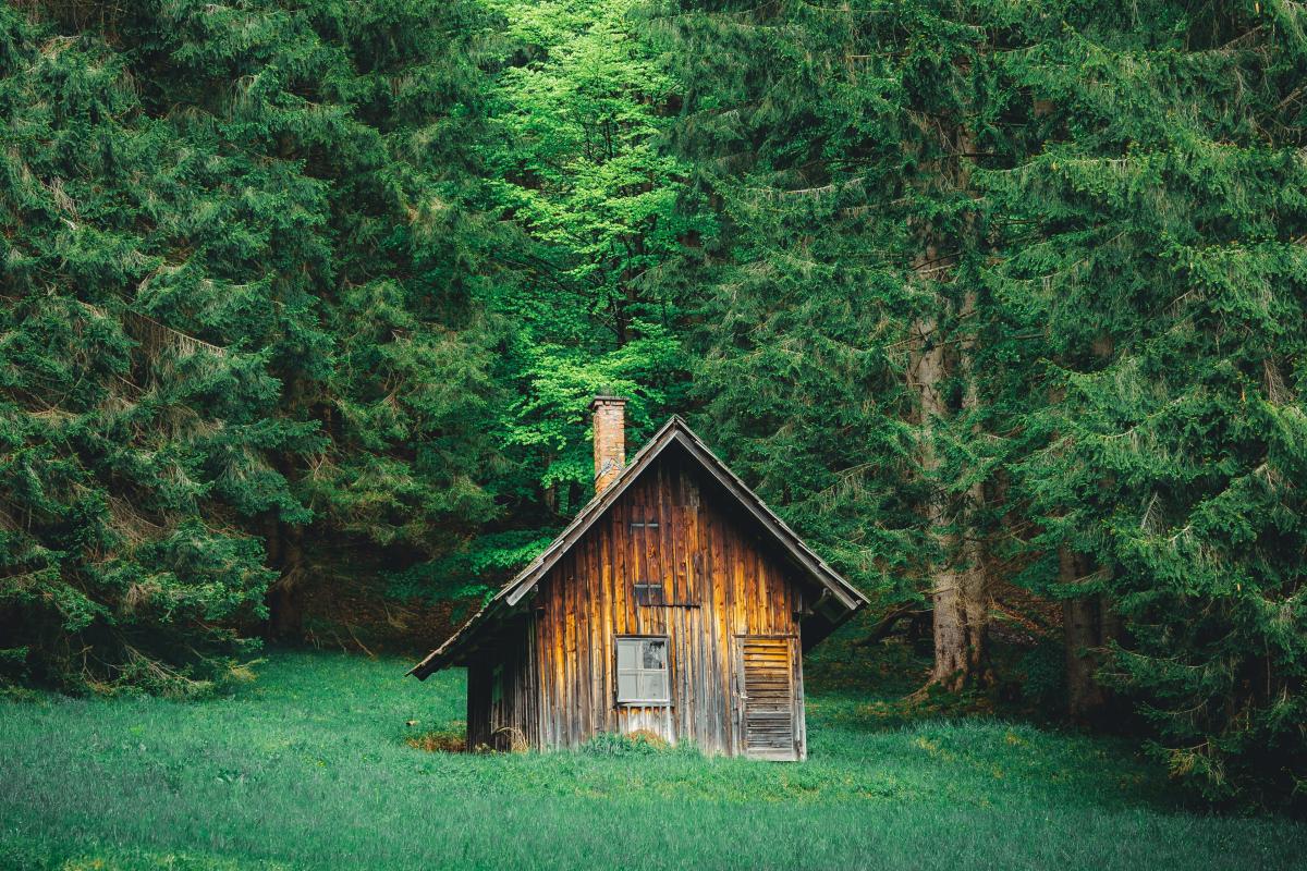 cabin