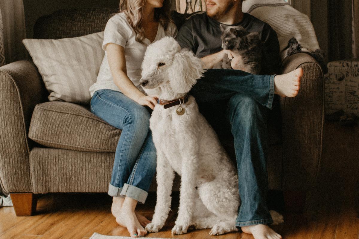 family 
