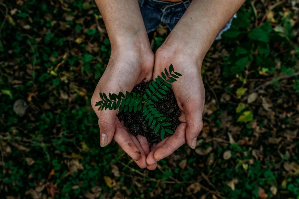 Source Unsplash Credit Noah Buscher