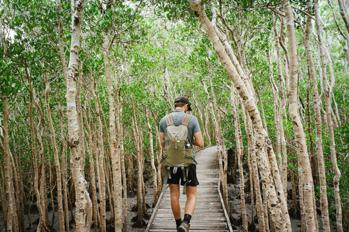Source:- Pexels , Credits :- Jacob Riesel