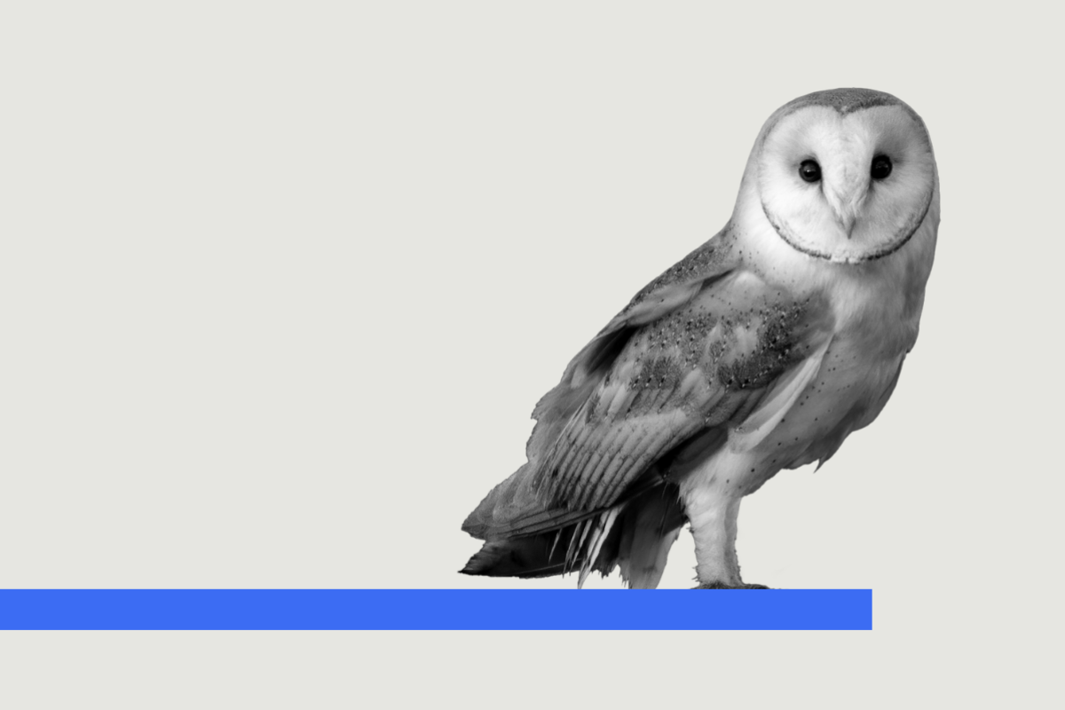 holding image LL