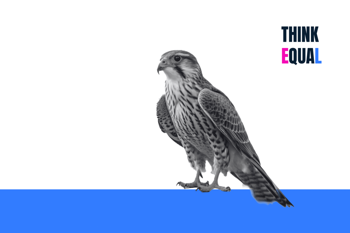 UAE Falcon and Think Equal Logo