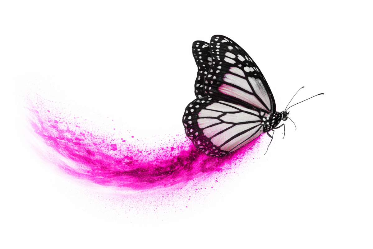 butterfly with pink highlight