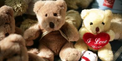teddy