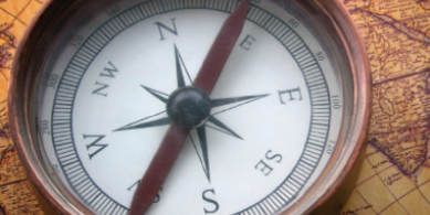 compass - Market Leader 2011