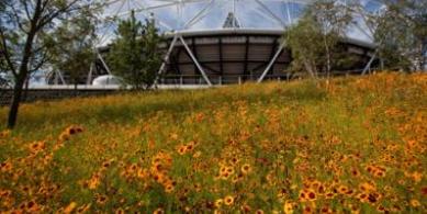 Olympic legacy
